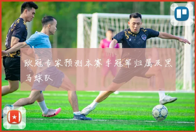 欧冠专家预测本赛季冠军归属及黑马球队
