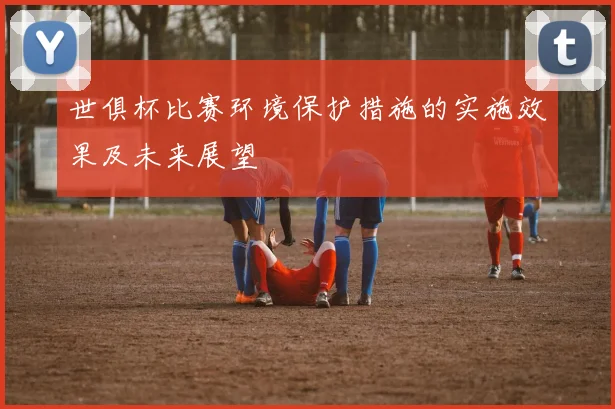 世俱杯比赛环境保护措施的实施效果及未来展望