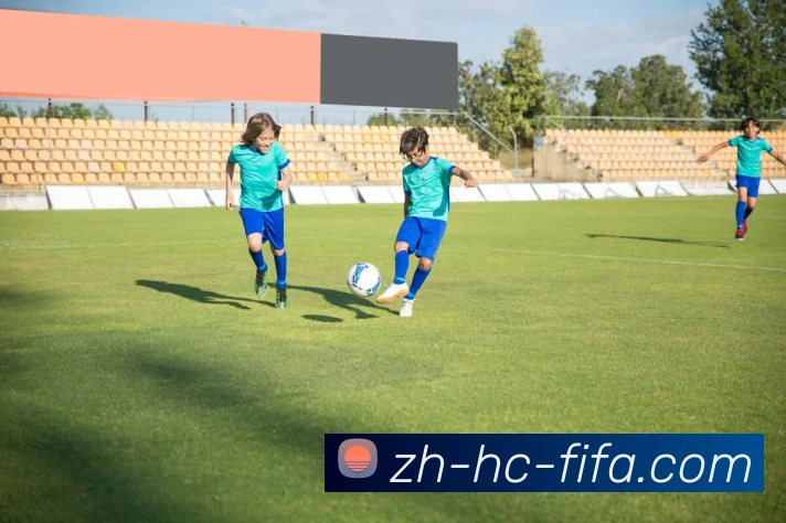 世界杯赛程平台生态图